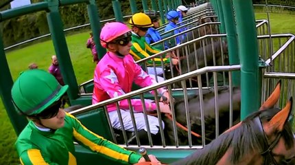 2017年 フォワ賞　サトノダイヤモンド出走　【日本語実況】