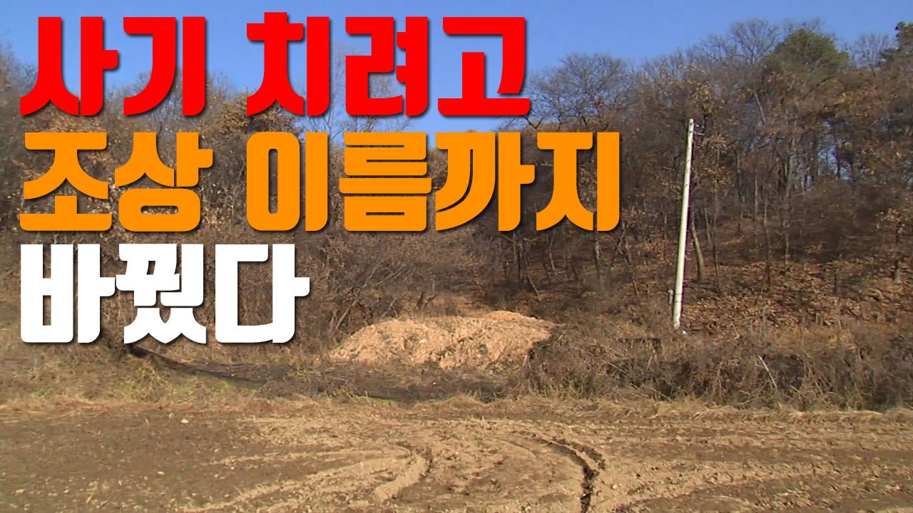 [자막뉴스] 사기 치려고 조상 이름까지 바꿨다 / YTN