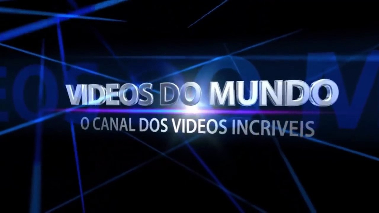 Animais selvagens atacando luta de animais selvagens 2017 briga de animais 2017