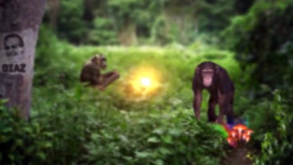 Joe Rogan Goes Off on Flat Earthers