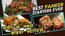 Best Paneer Starters Ever Paneer Recipe Easy Paneer Starters Recipes Ruchi Bharani
