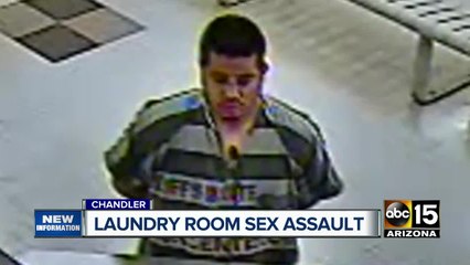 Man arrested for forcing several people at gunpoint to perform sex acts