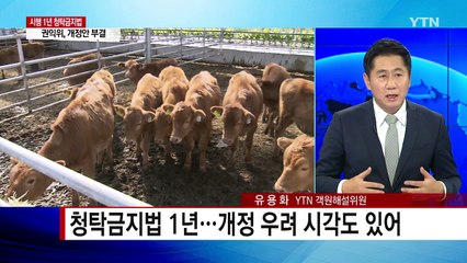 청탁금지법 개정안 급제동...권익위 '부결' / YTN