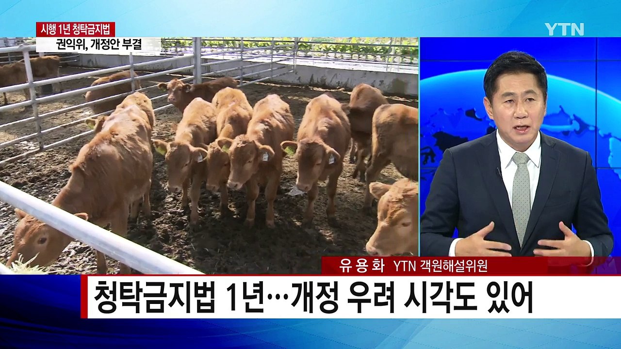 청탁금지법 개정안 급제동...권익위 '부결' / YTN
