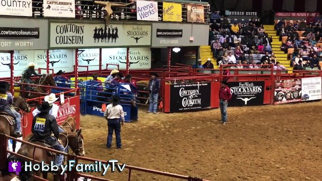 Cowboy RODEO! Riding Bulls n' Horses Sheep at Fort Worth Stockyards Our First Rodeo HobbyFamilyTV-88U6PlXsTOs
