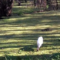 Phòng khám đa khoa Đại Đông - Stock