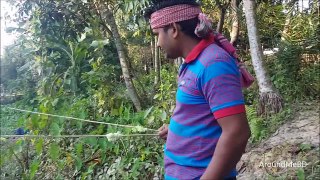 Fishing |Fish Hunting Using Hand Made Bamboo Arrow | Country Fish Catching From