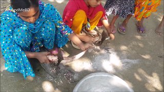 Fishing & Cooking Catching Catla & Carp Fish  Charity Food Prepared For Anoth