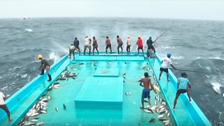 Catching tuna Maldivian style