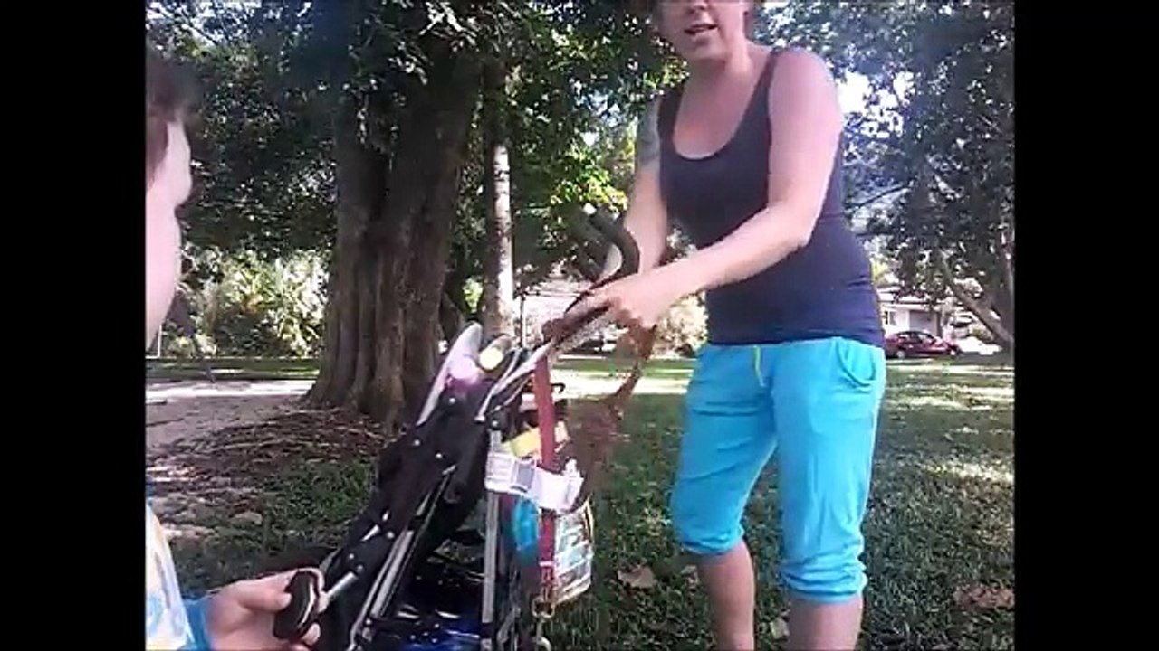 steelcraft duo twin stroller