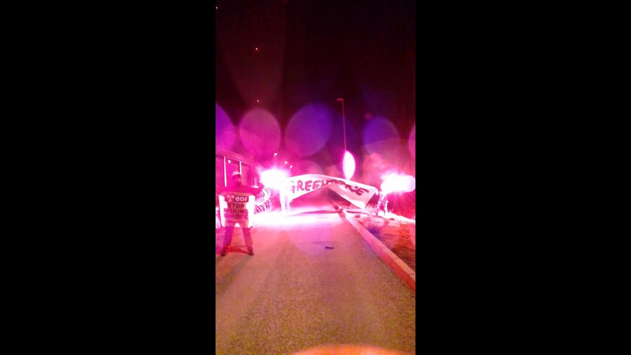 Intrusion de militants de Greenpeace à la centrale de Cruas-Meysse