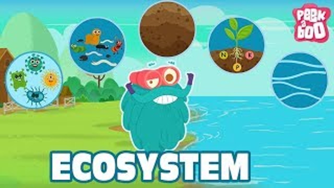ECOSYSTEM The Dr. Binocs Show Best Learning Videos For Kids Peekaboo Kidz video Dailymotion