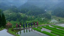 هذا الصباح- مدرجات حقول الأرز الصينية لوحات طبيعية مدهشة
