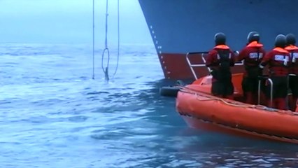 Vídeo impactante mostra baleeiros japoneses em ação