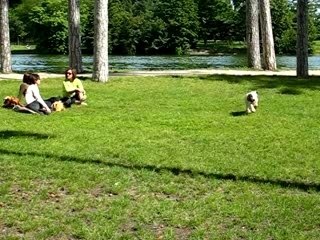 Au bois avec ma super pote Golde