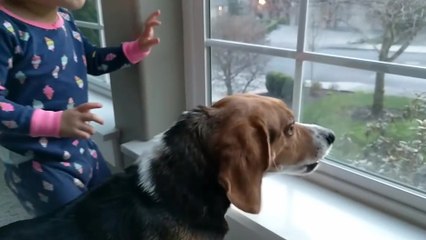 Quand tu baisses de 3 octaves l'aboiement d'un chien