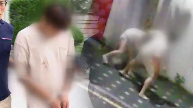 [단독] '때리고 트럭 돌진'...데이트폭력 20대, 징역 2년 선고 / YTN