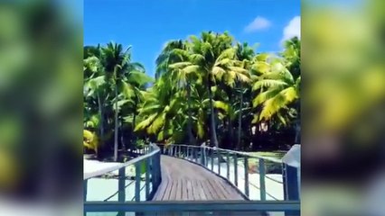 Avec qui voudriez vous partir dans cet endroit paradisiaque ?