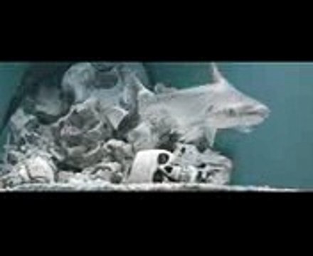 Каспийский Груз - #пуливобойме Последняя песня (официальное видео)