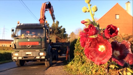 Sapin de Noël de Mouscron 2017: du jardin à la Grand-place