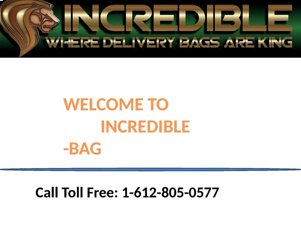 Meals on wheels delivery bags