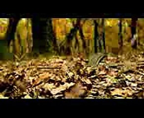 Strike Back Season 4 Trailer (Cinemax)