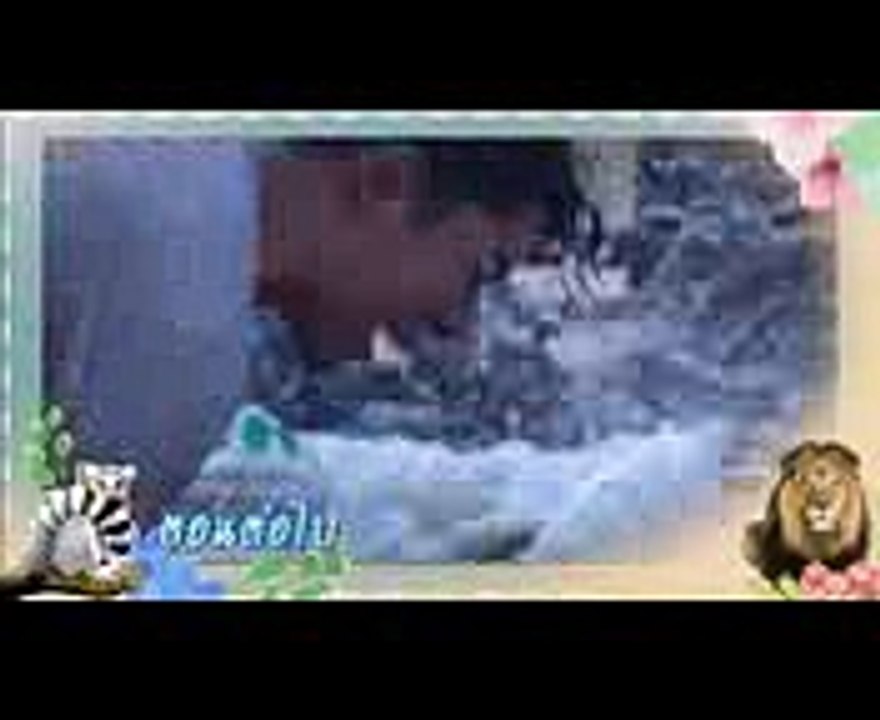 รักกันพัลวัน ตอนต่อไป EP.10  24-11-60  Ch3Thailand