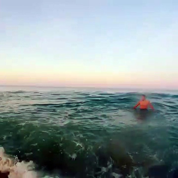 Il tient un requin à bout de bras (Vidéo)