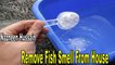 Remove Fish Smell From House (Homemade Remedies)