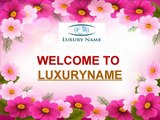 Collection of Luxury Brands Name, Luxury Lifestyle