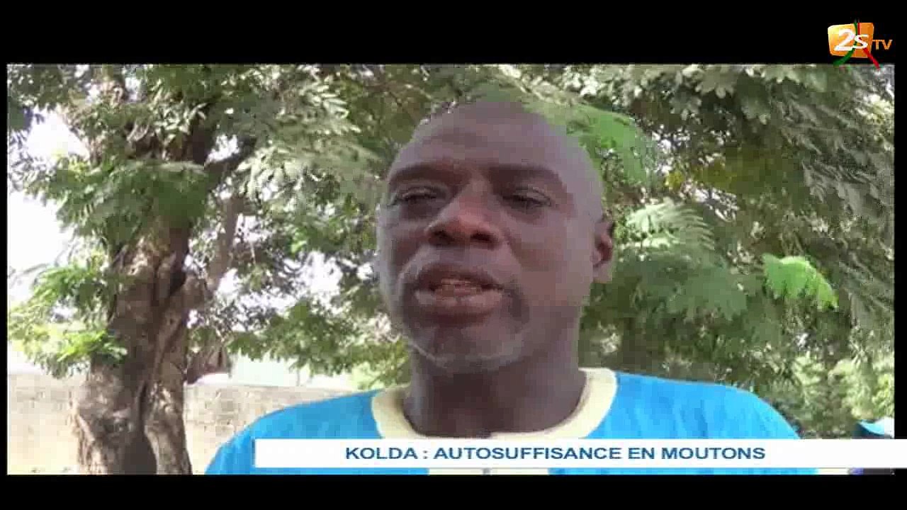 KOLDA : AUTOSUFFISANCE EN MOUTONS