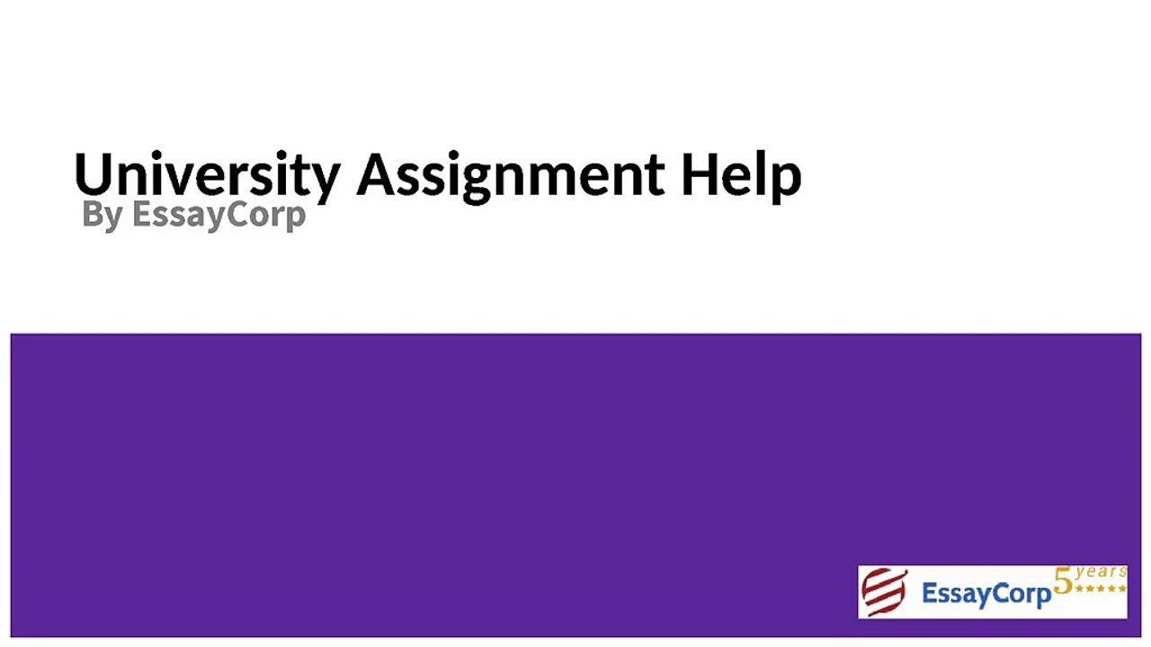 University Assignment help