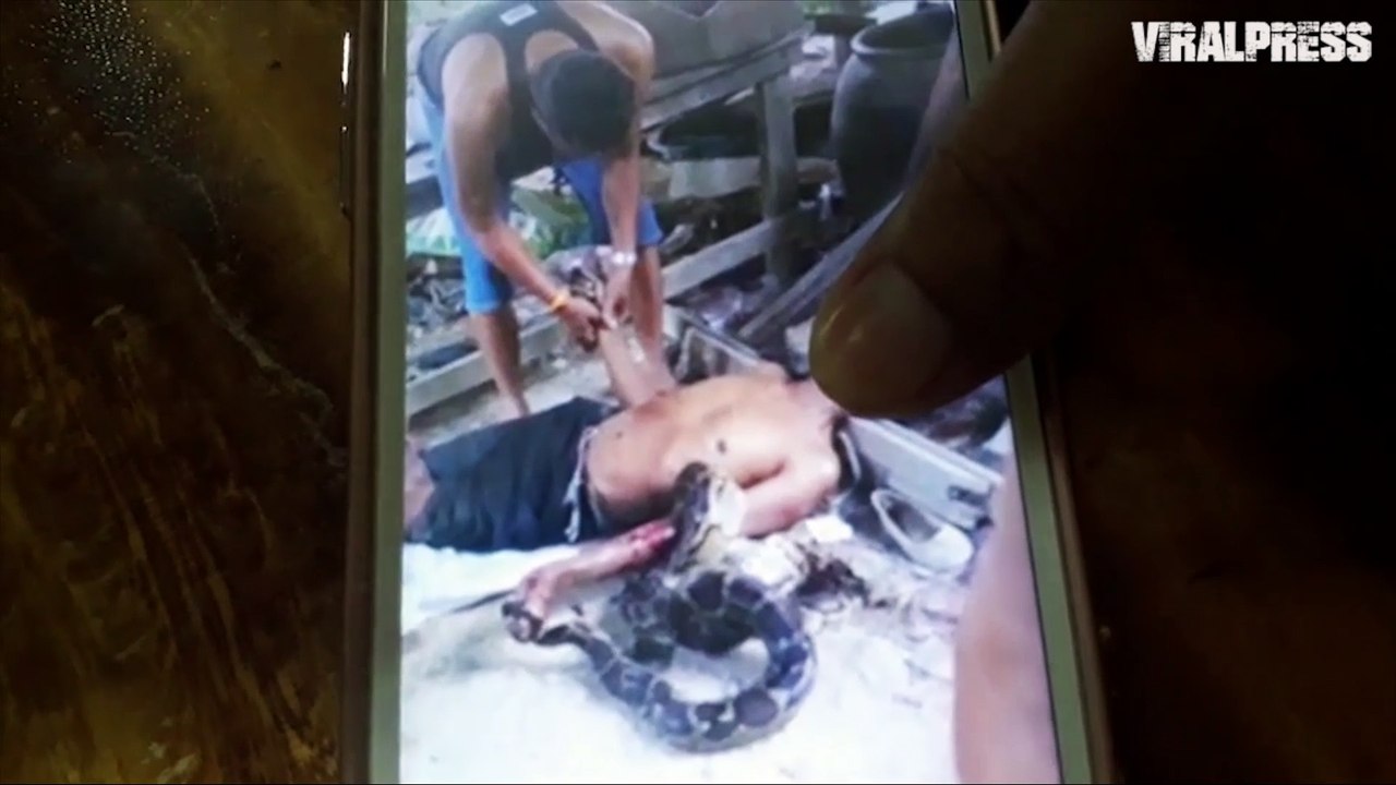 Wild Python Kills Man Who Kept It In Jar