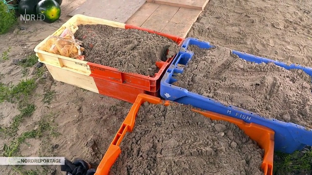 Im Zeltlager der Hallig-Retter | Nordreportage