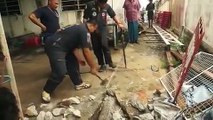 Un python retrouvé dans la cour d’une maison régurgite un lézard trop gros pour lui en Thaïlande