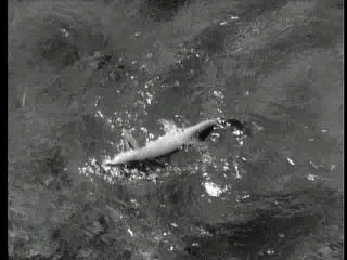 Perdidos en el Espacio Temp. 1 Ep. 20 - War of the Robots