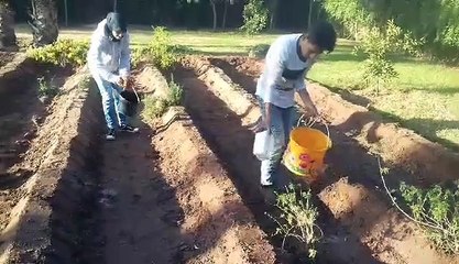 Action de jardinage agrémentée d'un joli chant d'oiseau