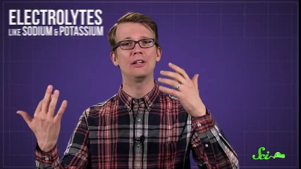 Can Pickles and Bananas Really Help Athletes