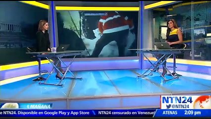 Azafata y sobreviviente del avión del Chapecoense lanzó su primer libro sobre los angustiantes hechos que vivió