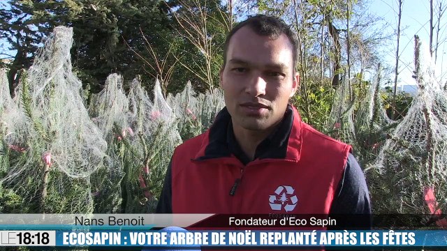 Le 18:18 : avec Ecosapin , fini le gaspillage, votre arbre de Noël sera replanté après les fêtes