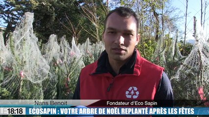 Le 18:18 : avec "Ecosapin", fini le gaspillage, votre arbre de Noël sera replanté après les fêtes