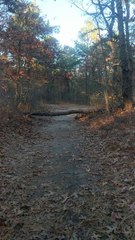 Ready or not...here I come