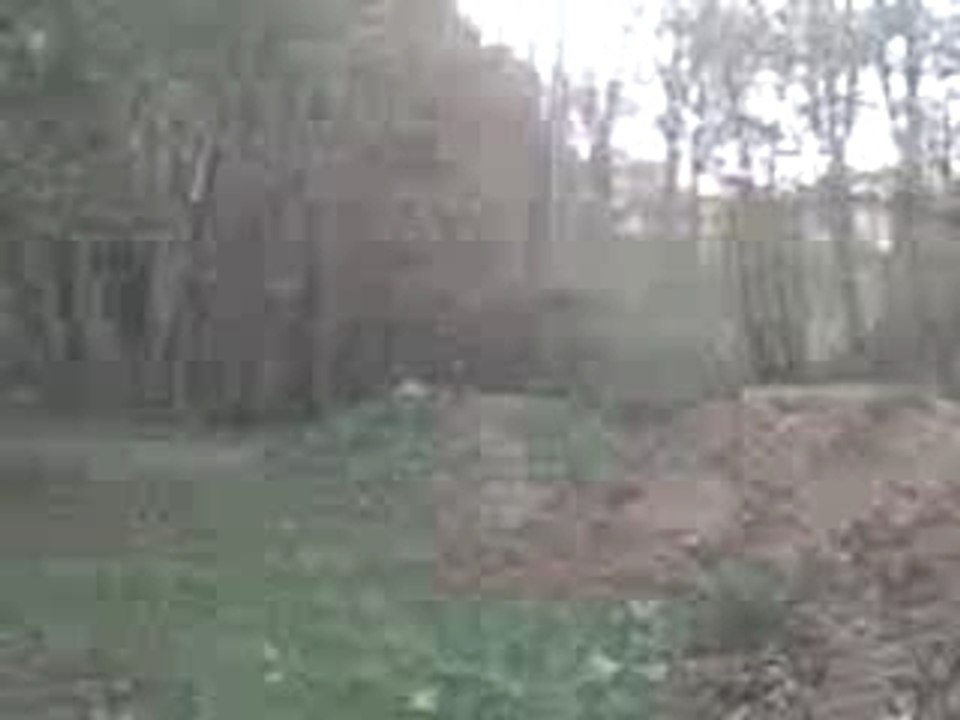 D¥l@n