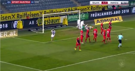 Zulj P. Goal HD - Sturm Graz	2-1	Admira 28.11.2017