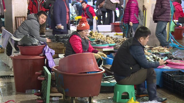 포항 경제 직격탄...경제 기반 붕괴 우려 / YTN