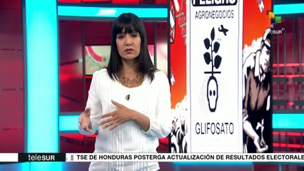 La UE renueva por otros 5 años el uso del glifosato