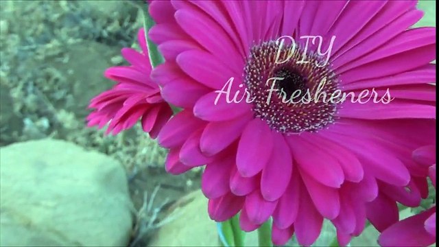 GENIJALAN TRIK ZA VAŠ DOM: Pre nego što joj dođu GOSTI, ona stavi OVO U SOBU!