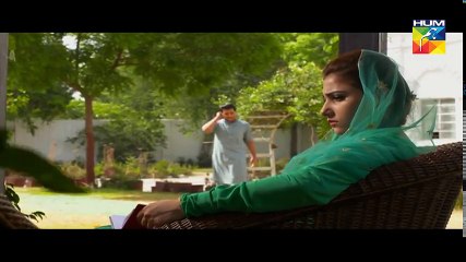 Pagli Episode 14 HUM TV Drama | 27 November 2017