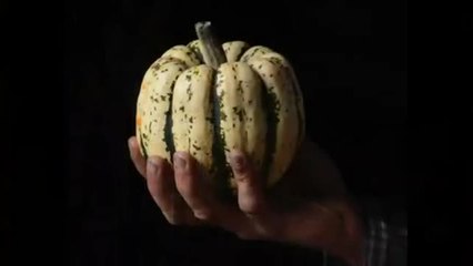 Xavier Mathias aime ses courges - 2