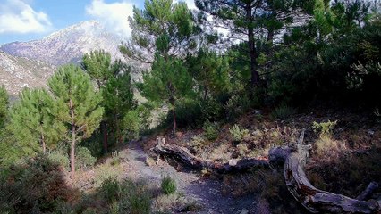 Venta Pradillos (Cómpeta, Málaga)